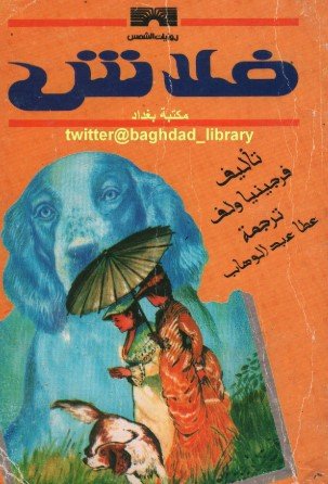 رواية فلاش